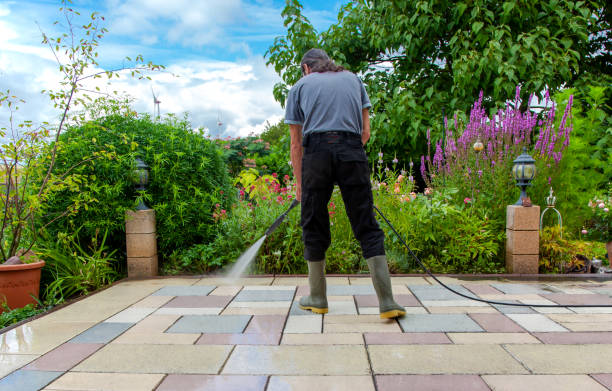 Best Gutter Cleaning and Brightening in Elmwood Place, OH